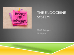 THE ENDOCRINE SYSTEM SOAR Biology – Mr. Najera