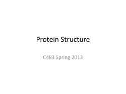 Protein Structure C483 Spring 2013