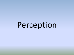 perceptionoverview