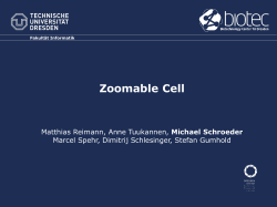 Zoomable Cell Michael Schroeder Marcel Spehr, Dimitrij Schlesinger, Stefan Gumhold Fakultät Informatik
