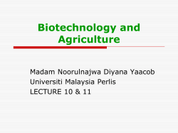 Biotechnology and Agriculture Madam Noorulnajwa Diyana Yaacob Universiti Malaysia Perlis