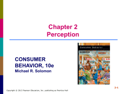 Chapter 2 Perception CONSUMER BEHAVIOR, 10e
