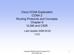 Cisco CCNA Exploration CCNA 2 Routing Protocols and Concepts Chapter 6