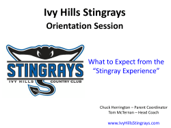 Ivy Hills Stingrays Orientation Session What to Expect from the “Stingray Experience”