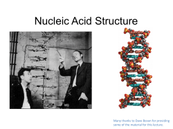 Nucleic Acid Structure Many thanks to Dave Bevan for providing