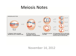 Meiosis Notes November 14, 2012