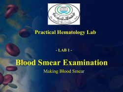 Blood Smear Examination Practical Hematology Lab Making Blood Smear - LAB 1 -