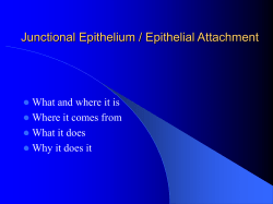 Junctional Epithelium / Epithelial Attachment What and where it is