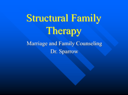 Structural Family Therapy Marriage and Family Counseling Dr. Sparrow