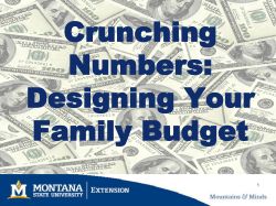 Crunching Numbers: Designing Your Family Budget