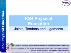 KS4 Physical Education Joints, Tendons and Ligaments