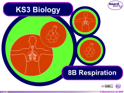 KS3 Biology 8B Respiration © Boardworks Ltd 2004 © Boardworks Ltd 2005