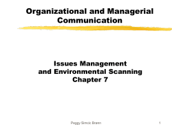Organizational and Managerial Communication Issues Management and Environmental Scanning