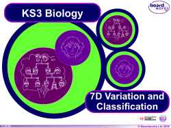 KS3 Biology 7D Variation and Classification © Boardworks Ltd 2004