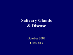 Salivary Glands &amp; Disease October 2003 OMS 813