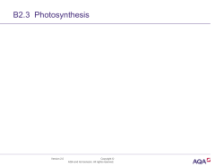 B2.3  Photosynthesis Version 2.0 Copyright ©