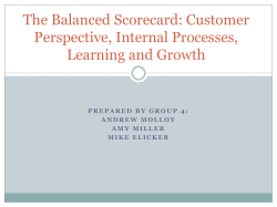The Balanced Scorecard: Customer Perspective, Internal Processes, Learning and Growth