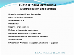 PHASE  II   DRUG METABOLISM: Glucuronidation and Sulfation
