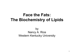 Face the Fats: The Biochemistry of Lipids by Nancy A. Rice
