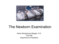 The Newborn Examination Karen Montgomery-Reagan, D.O. OUCOM Department of Pediatrics