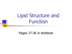 Lipid Structure and Function Pages 27-36 in textbook