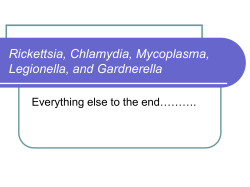 Rickettsia, Chlamydia, Mycoplasma, Legionella, and Gardnerella Everything else to the end……….