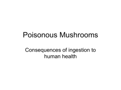 Poisonous Mushrooms Consequences of ingestion to human health