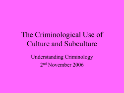 The Criminological Use of Culture and Subculture Understanding Criminology 2