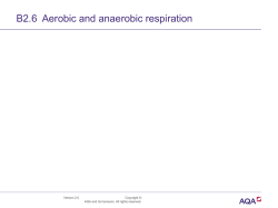 B2.6  Aerobic and anaerobic respiration Version 2.0 Copyright ©