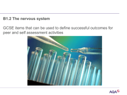 B1.2 The nervous system peer and self assessment activities