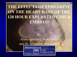 THE EFFECTS OF EPHEDRINE ON THE HEART RATE OF THE EMBRYO