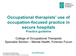 Occupational therapists’ use of occupation-focused practice in secure hospitals Practice guideline
