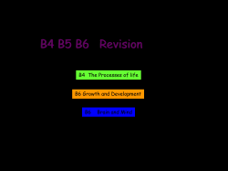 B4 B5 B6   Revision B6 Growth and Development