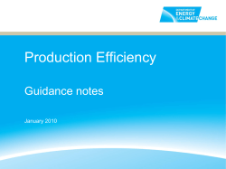 Production Efficiency Guidance notes January 2010
