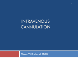 INTRAVENOUS CANNULATION Eileen Whitehead 2010 1