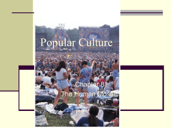 Popular Culture Chapter 8 The Human Mosaic