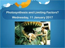 Photosynthesis and Limiting Factors? Wednesday, 11 January 2017