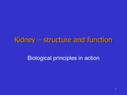 Kidney – structure and function Biological principles in action 1