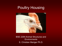 Poultry Housing BSE 2294 Animal Structures and Environments S. Christian Mariger Ph.D.