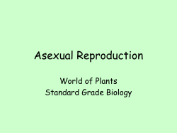 Asexual Reproduction World of Plants Standard Grade Biology