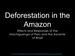 Deforestation in the Amazon Effects and Responses of the