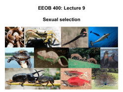 EEOB 400: Lecture 9 Sexual selection