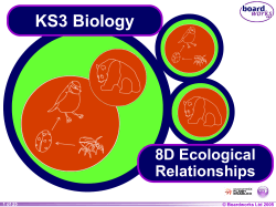 KS3 Biology 8D Ecological Relationships © Boardworks Ltd 2004
