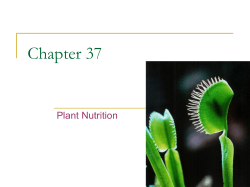 Chapter 37 Plant Nutrition