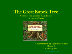 The Great Kapok Tree A Tale of the Amazon Rain Forest