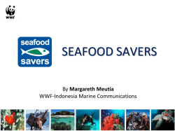 SEAFOOD SAVERS Margareth Meutia WWF-Indonesia Marine Communications