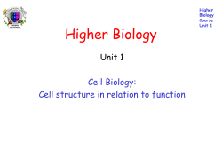 Higher Biology Unit 1 Cell Biology: Cell structure in relation to function