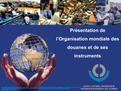 Présentation de l’Organisation mondiale des douanes et de ses instruments