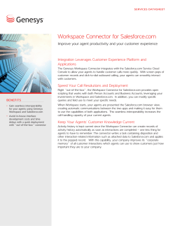 Workspace Connector for Salesforce.com Integration Leverages Customer Experience Platform and Applications