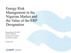 Energy Risk Management in the Nigerian Market and the Value of the ERP